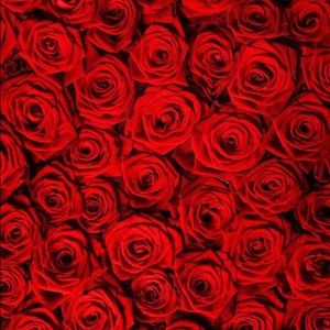 Meet your Posher, Kia